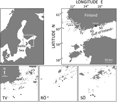 Population Dynamics at the Range Margin: Implications of Climate Change on Sublittoral Blue Mussels (Mytilus trossulus)